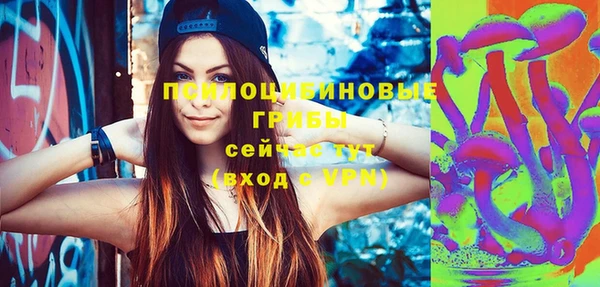 ГАЛЛЮЦИНОГЕННЫЕ ГРИБЫ Шарыпово