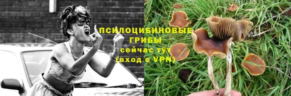 соль ск Волосово