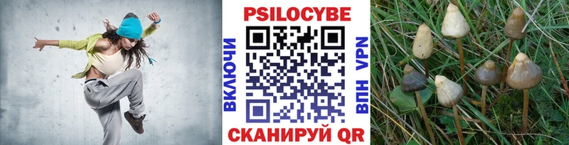 Галлюциногенные грибы прущие грибы Ирбит